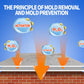 🏠⏳Limited-time 50% off⏰Highly Effective Mould Removal Spray