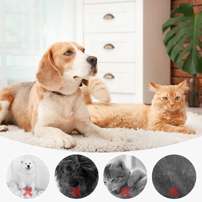 🐶New Year Hot Sale 50% OFF🐱Pet Spray Hair Removal Comb