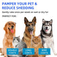 🐶New Year Hot Sale 50% OFF🐱Pet Spray Hair Removal Comb