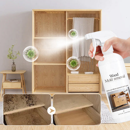 Effective Wood Mold ＆ Mildew Stain Remover