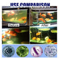 ✨️🐟️Fish Ponds Aquariums Chlorine Removal Tablets🌬️