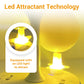 🥳 Over 50,000 sold! 🚫 Save 58%! LED Fruit Fly Trap