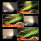 Zoomable Fish Tank LED Spotlight