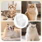 🔥While Supplies Last 40% OFF!🎉 Wall-Mounted Toilet-Shaped Cat Bowl