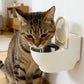 🔥While Supplies Last 40% OFF!🎉 Wall-Mounted Toilet-Shaped Cat Bowl