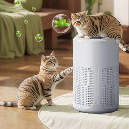 🔇LAST DAY SALE 70% OFF 💐Silent Air Purifier – Peaceful sleep, no noise😴【Limited Offer】