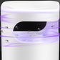 🦟 50% OFF NOW! ☀️ UV Fly Trap with Transparent Catch Box – Odorless, chemical-free & effective for indoor pest control 🏠