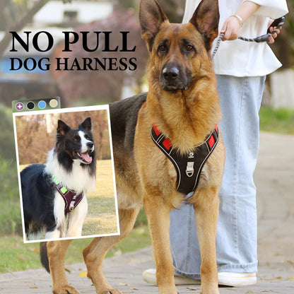 📢📢40% OFF !! ⏰No Pull Dog Harness with Leash & Collar LED