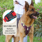 📢📢40% OFF !! ⏰No Pull Dog Harness with Leash & Collar LED