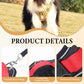 📢📢40% OFF !! ⏰No Pull Dog Harness with Leash & Collar LED