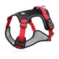 📢📢40% OFF !! ⏰No Pull Dog Harness with Leash & Collar LED