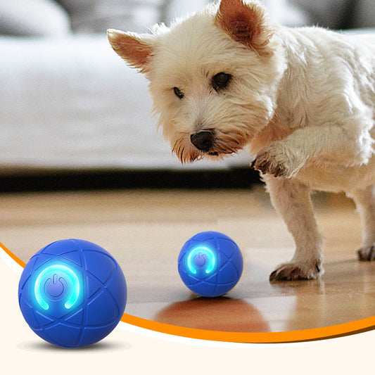 🎉 50% Off 🐾Interactive Bouncy Ball Designed with Dogs in Mind