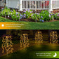 🔥2026 New Upgrade ＆ Hot Sale🔥Solar Garden Lights Outdoor Decor