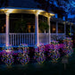 🔥2026 New Upgrade ＆ Hot Sale🔥Solar Garden Lights Outdoor Decor