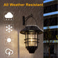 🔥While Supplies Last 40% OFF!🎉 Solar Powered Hanging Lantern Light