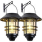 🔥While Supplies Last 40% OFF!🎉 Solar Powered Hanging Lantern Light