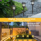 🔥While Supplies Last 40% OFF!🎉 Outdoor Waterproof Solar Pathway Light - 2 Pack/Set