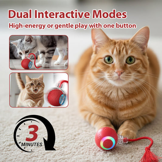 🔥While Supplies Last 40% OFF!🎉 Interactive Cat Toy Ball