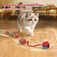 🔥While Supplies Last 40% OFF!🎉 Interactive Cat Toy Ball
