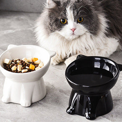 🏆LAST DAY SALE 50% OFF🔥Ergonomic Elevated Cat Bowl