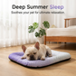 🔥While Supplies Last 40% OFF!🎉 Cooling Gel Mat for Pets