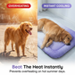 🔥While Supplies Last 40% OFF!🎉 Cooling Gel Mat for Pets